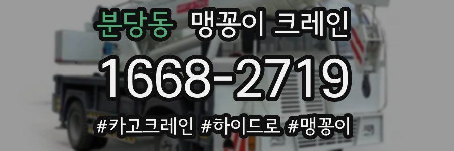 분당동 맹꽁이 크레인