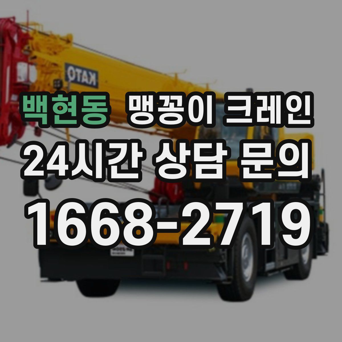 백현동 맹꽁이 크레인