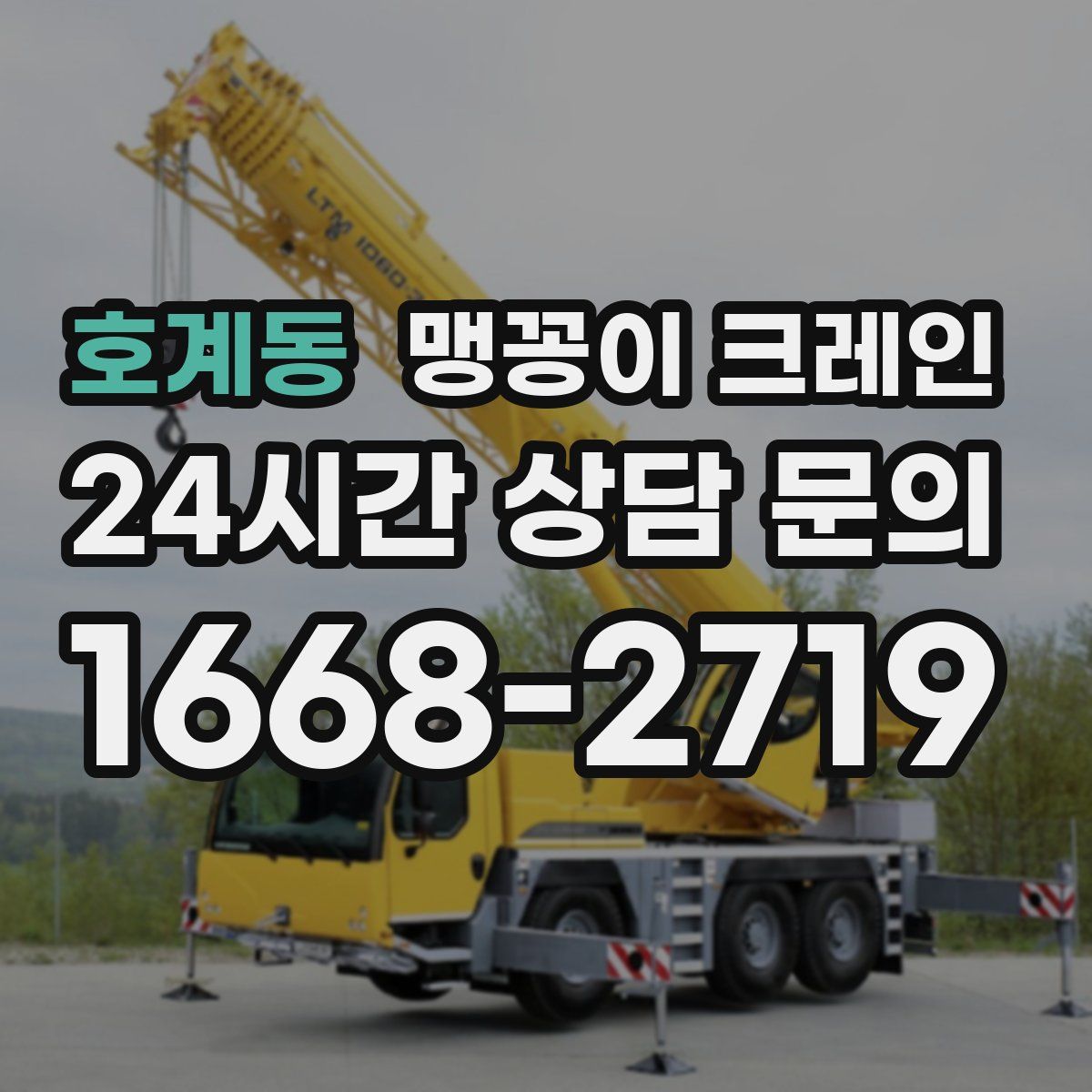 호계동 맹꽁이 크레인