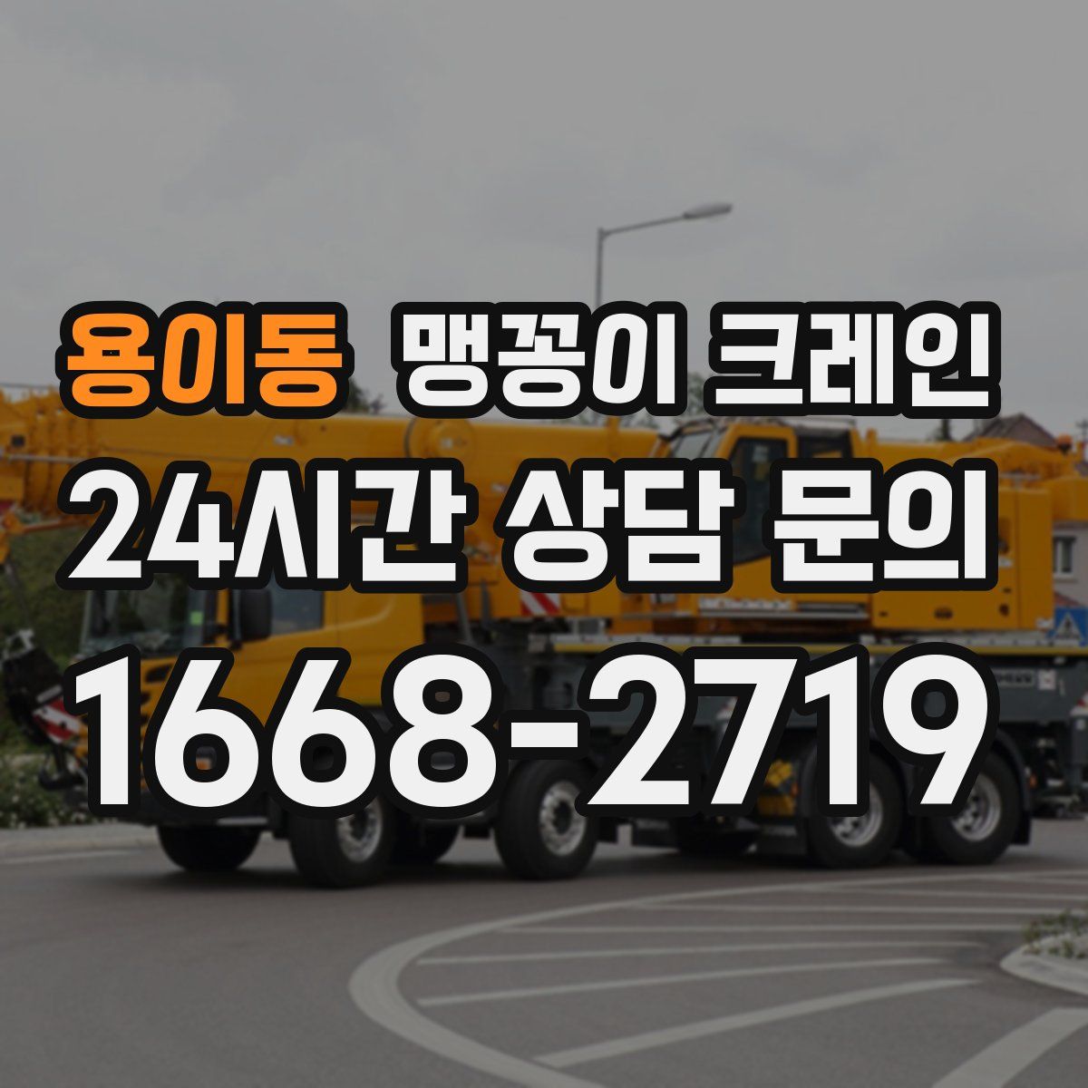 용이동 맹꽁이 크레인