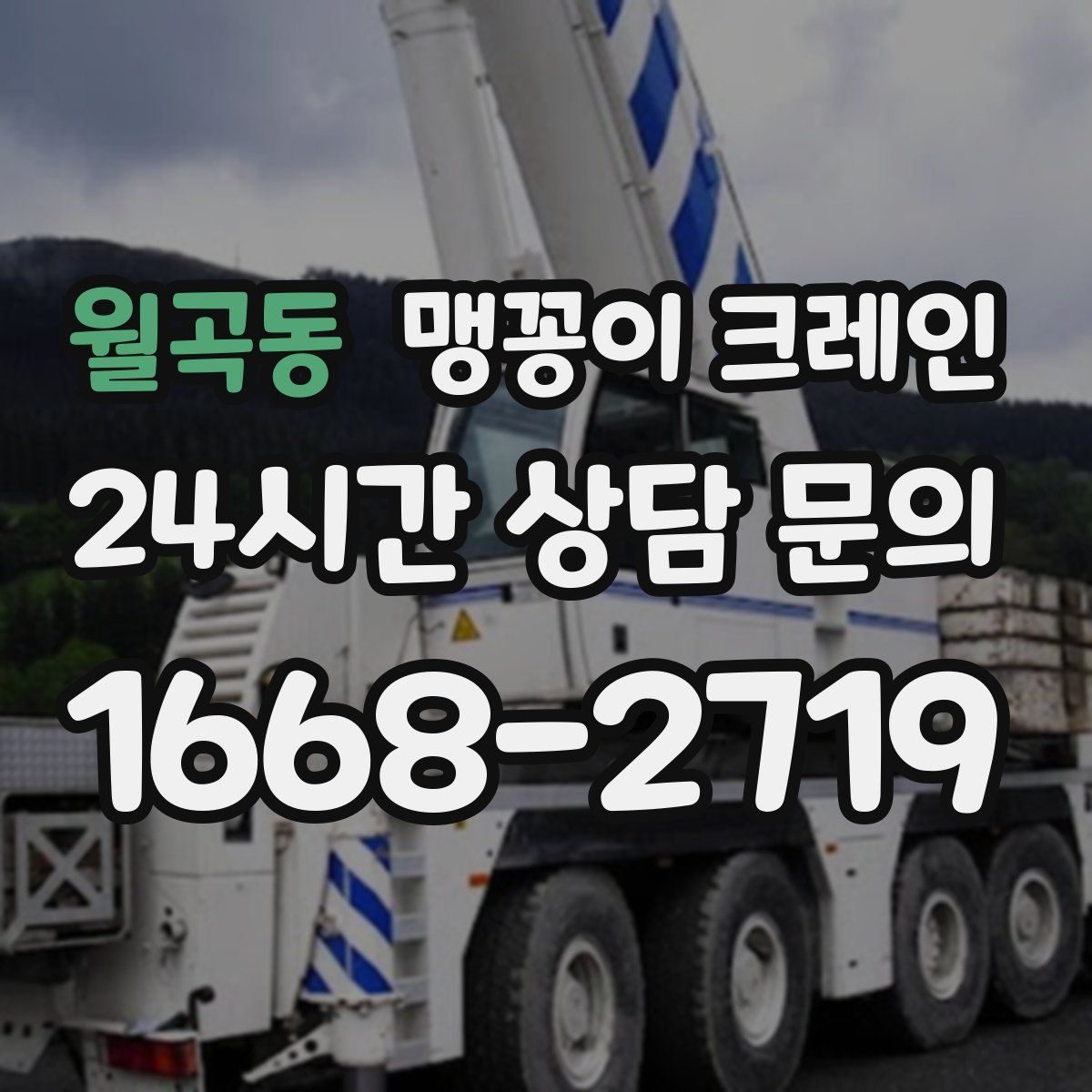월곡동 맹꽁이 크레인