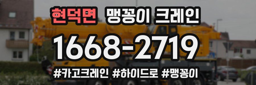 현덕면 맹꽁이 크레인