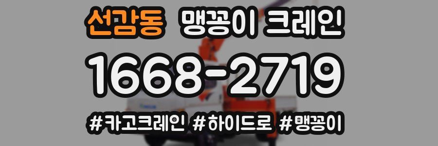 선감동 맹꽁이 크레인