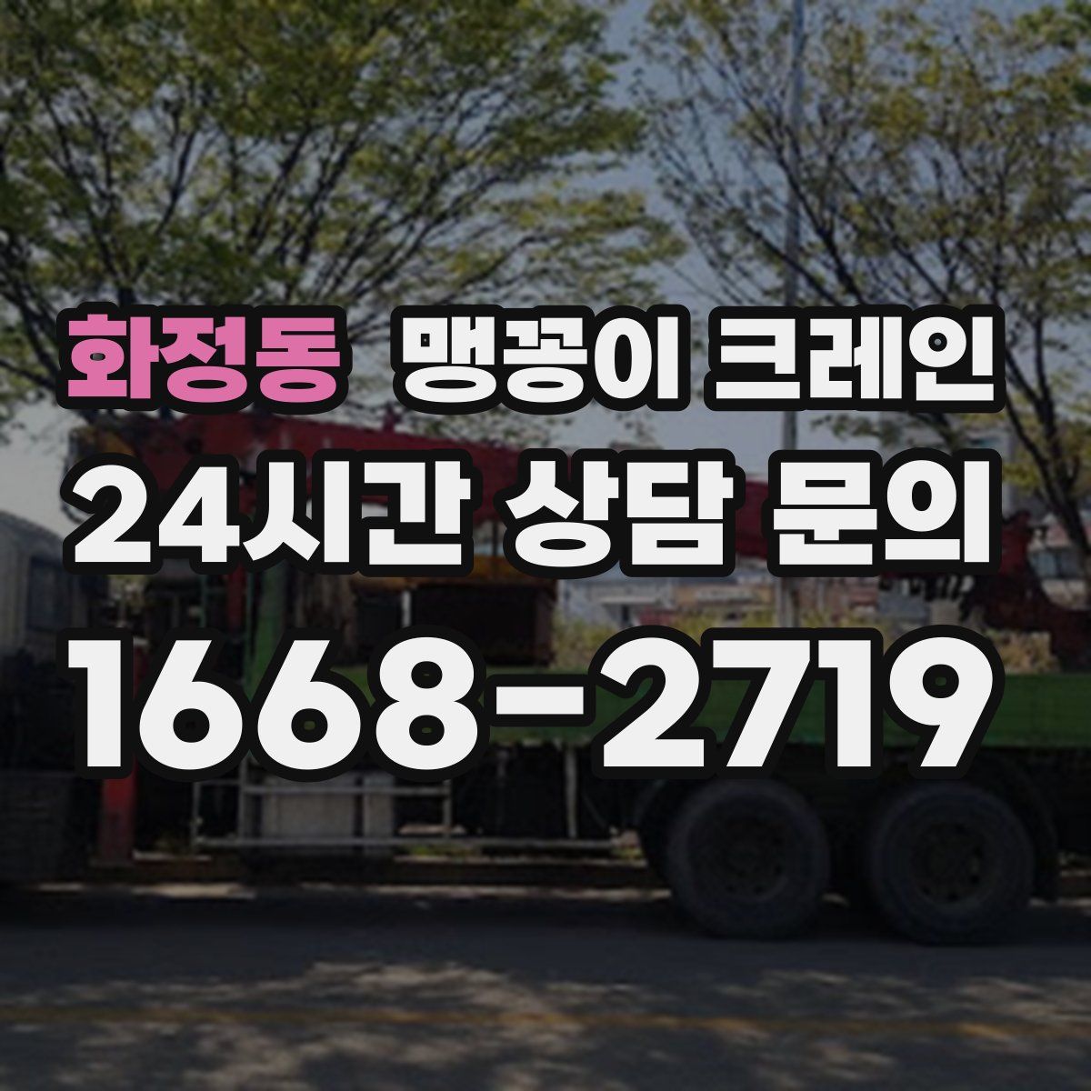 화정동 맹꽁이 크레인