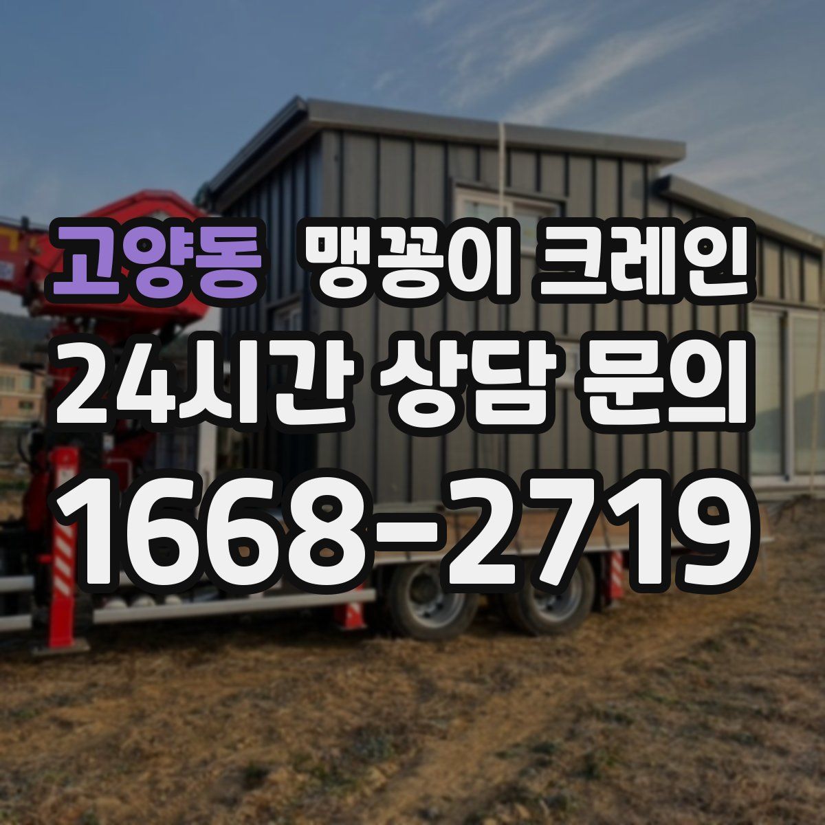 고양동 맹꽁이 크레인