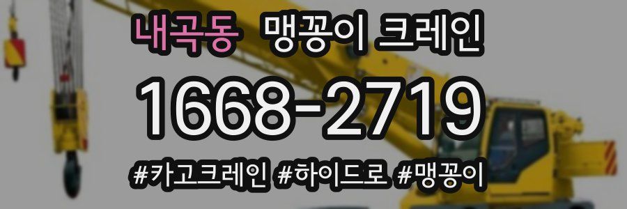 내곡동 맹꽁이 크레인