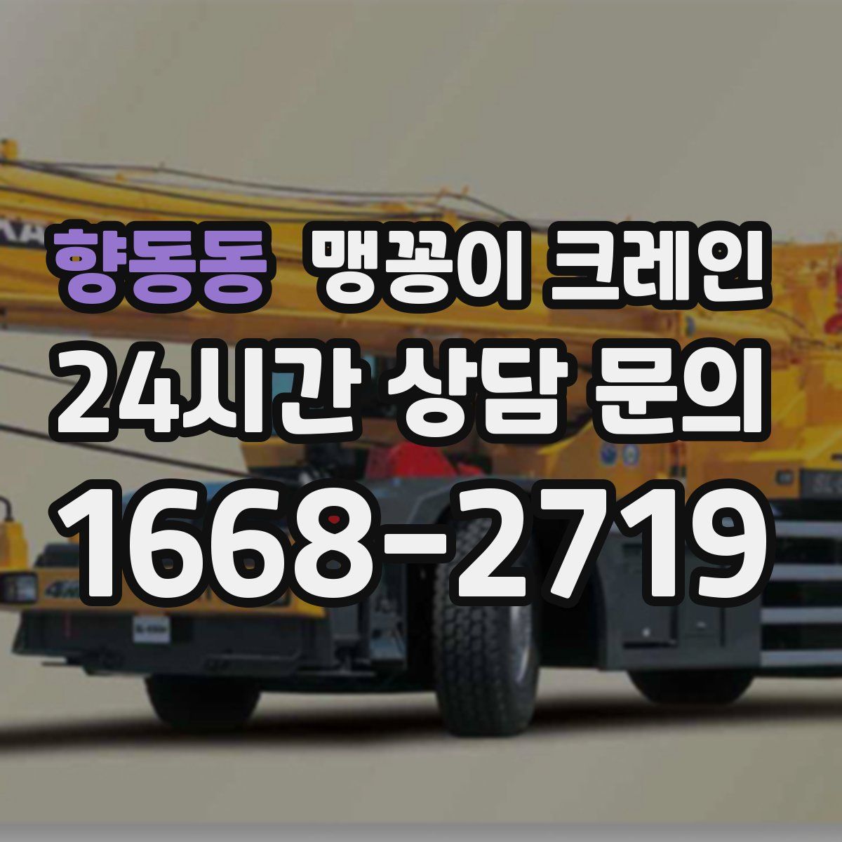 향동동 맹꽁이 크레인