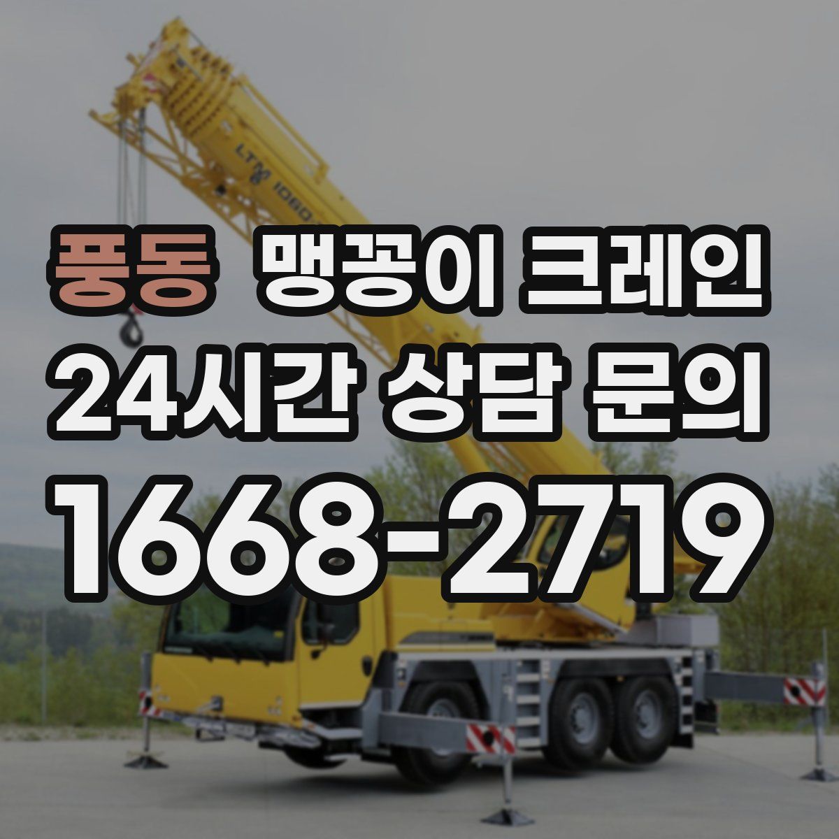 풍동 맹꽁이 크레인