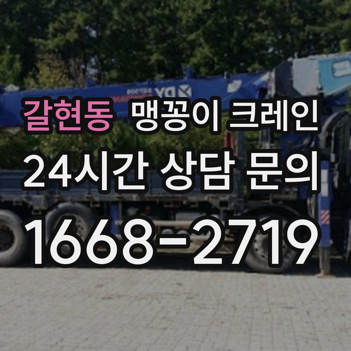 갈현동 맹꽁이 크레인