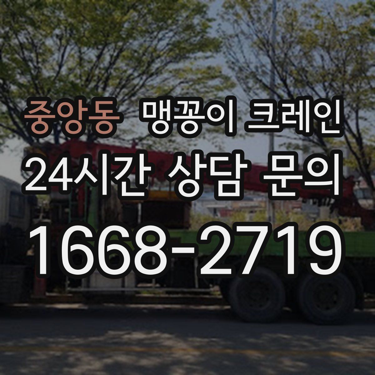 중앙동 맹꽁이 크레인