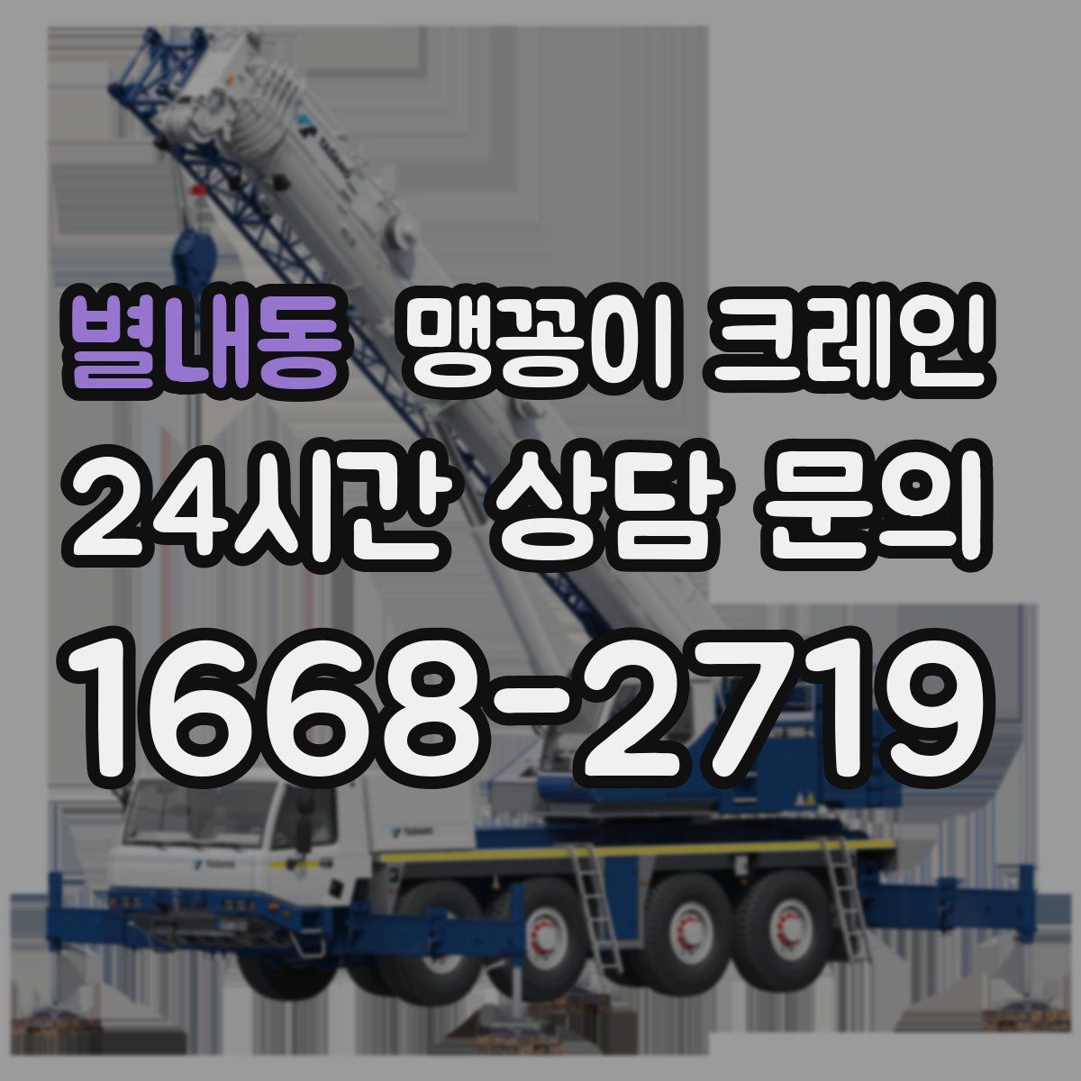 별내동 맹꽁이 크레인