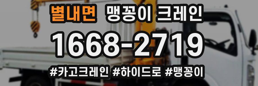 별내면 맹꽁이 크레인