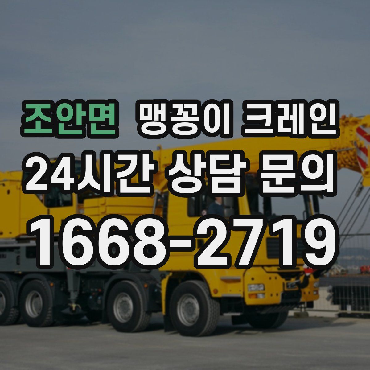 조안면 맹꽁이 크레인