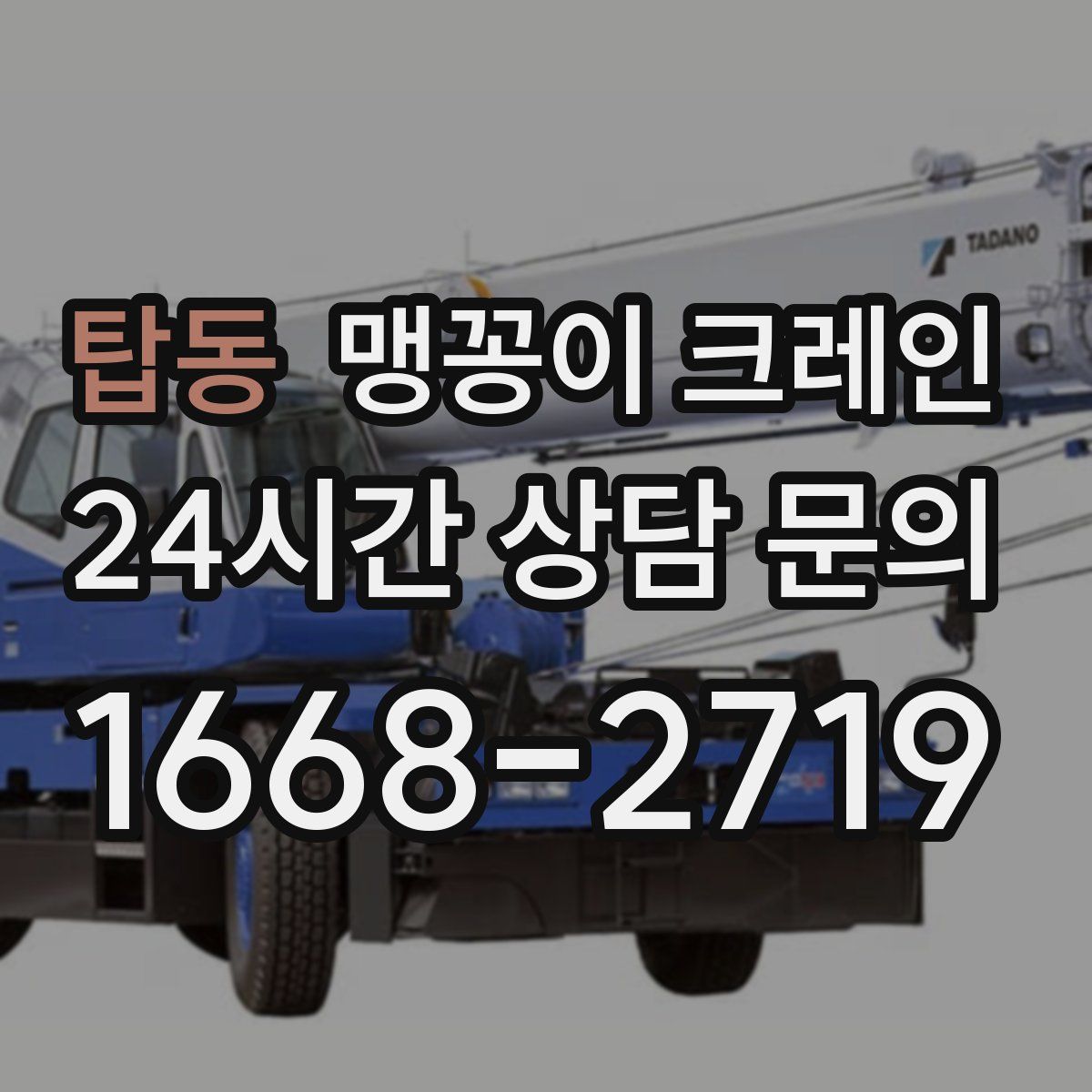 탑동 맹꽁이 크레인