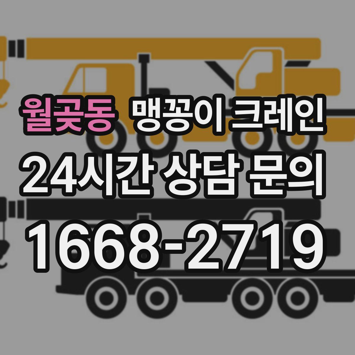 월곶동 맹꽁이 크레인
