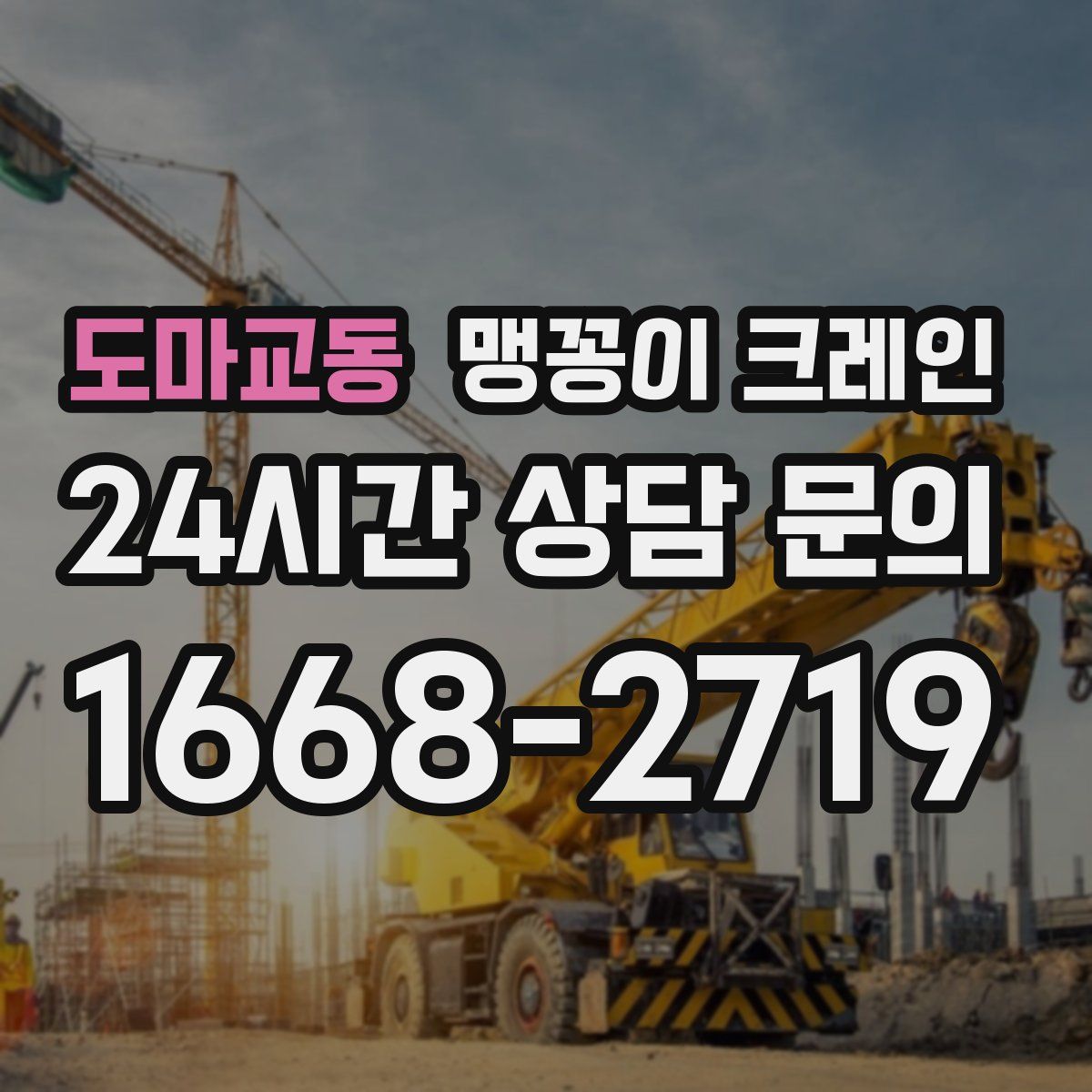 도마교동 맹꽁이 크레인