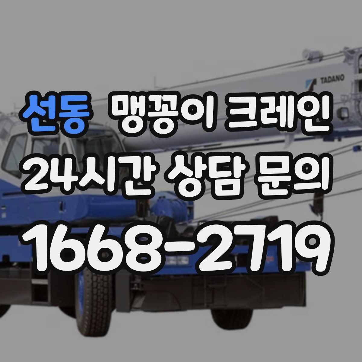 선동 맹꽁이 크레인