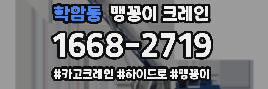 학암동 맹꽁이 크레인