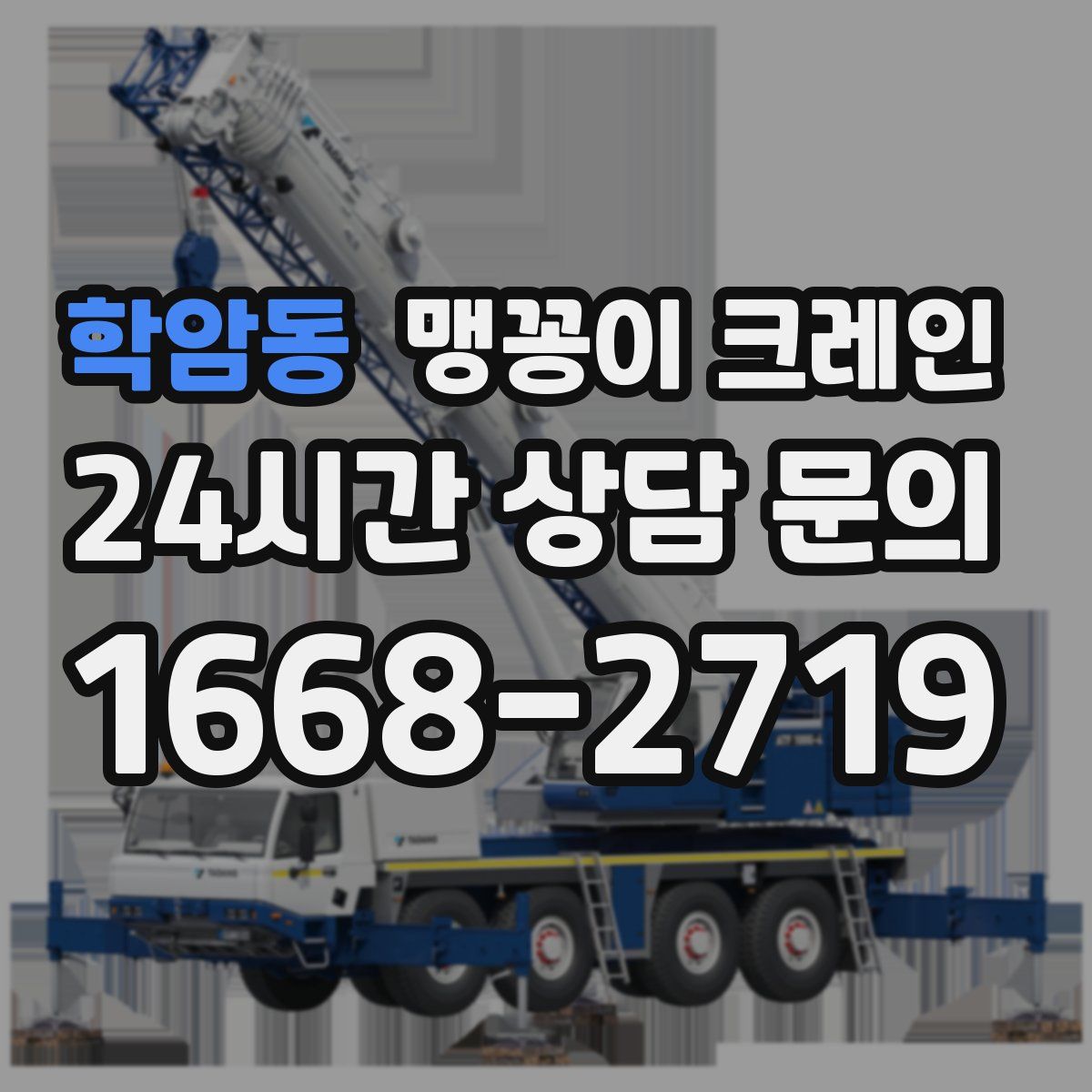 학암동 맹꽁이 크레인