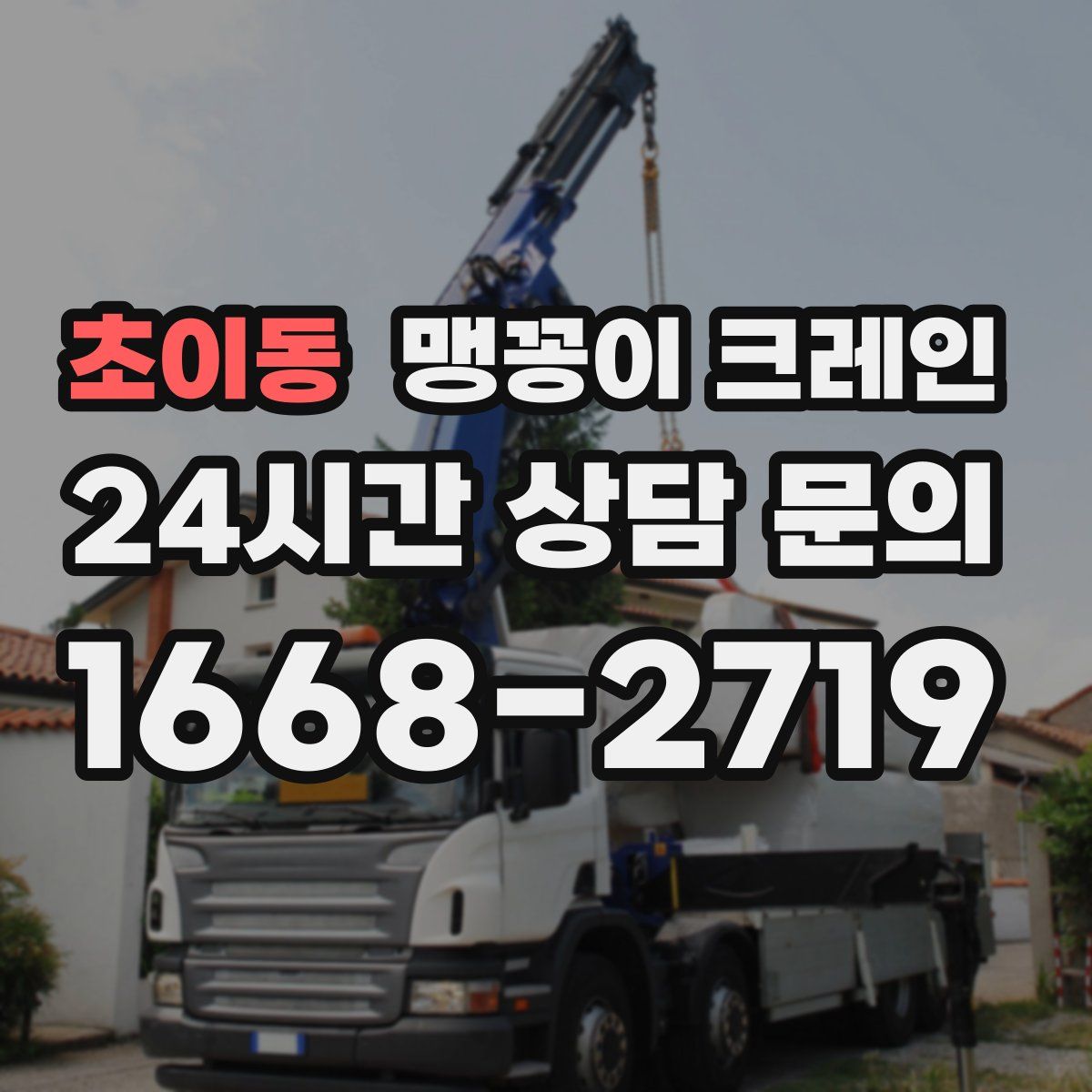 초이동 맹꽁이 크레인