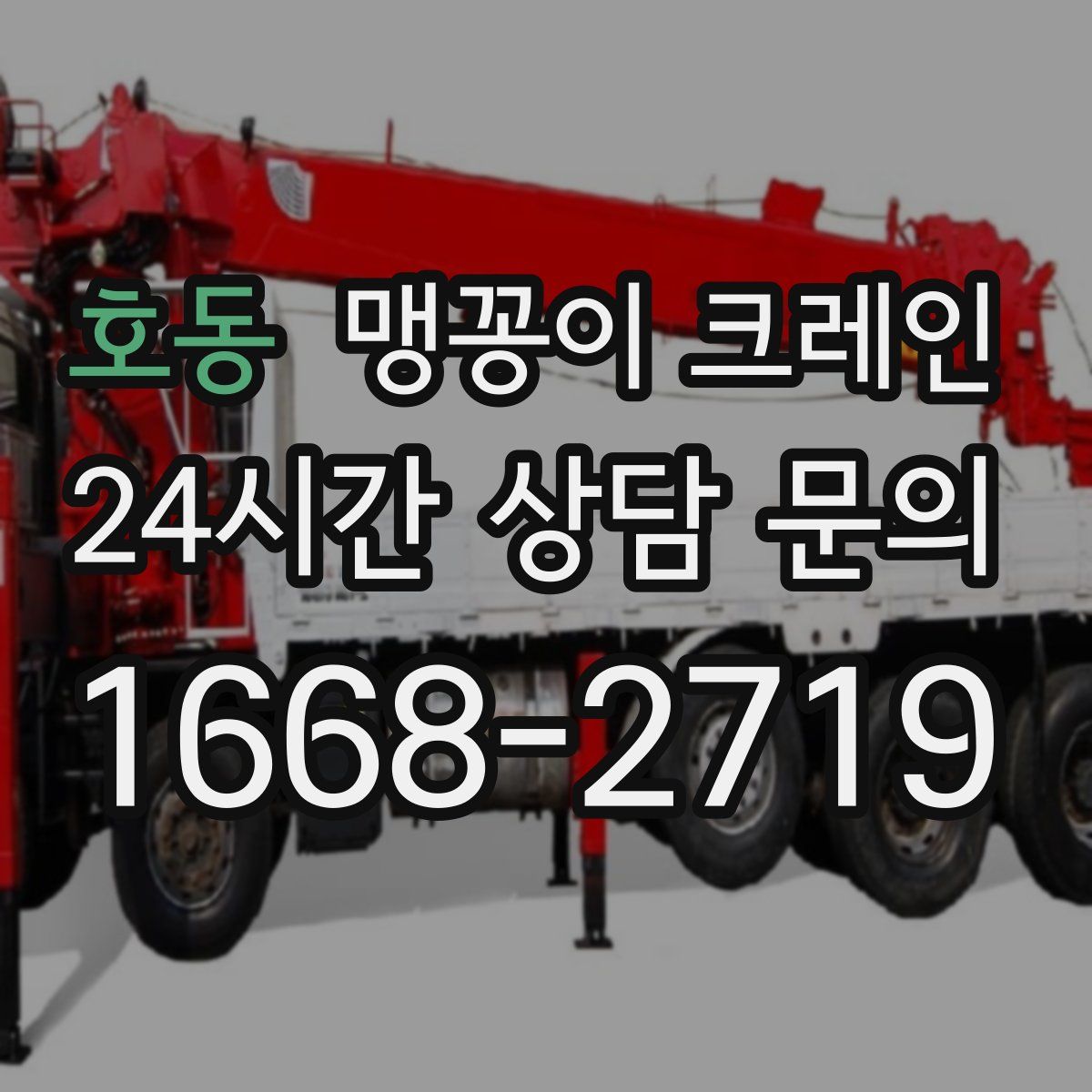 호동 맹꽁이 크레인