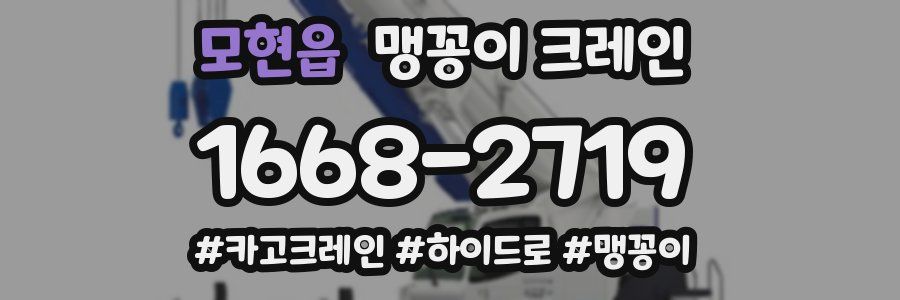 모현읍 맹꽁이 크레인