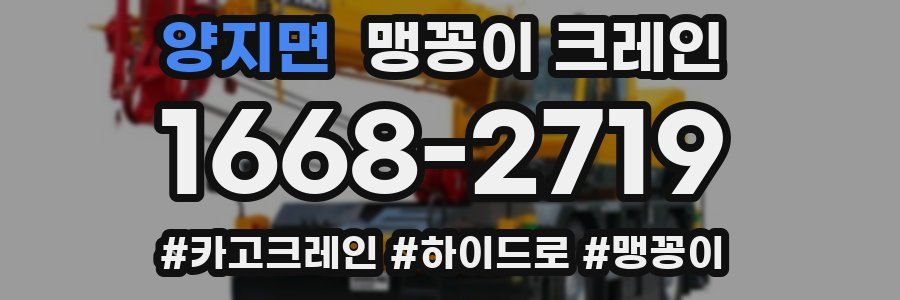 양지면 맹꽁이 크레인