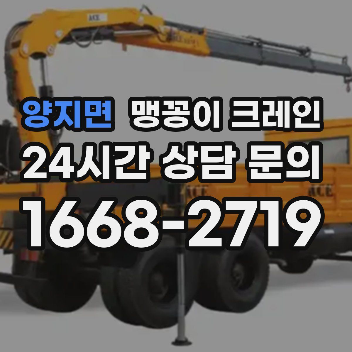 양지면 맹꽁이 크레인
