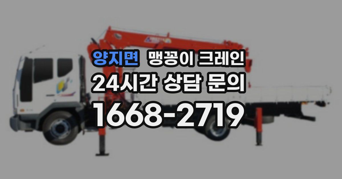 양지면 맹꽁이 크레인