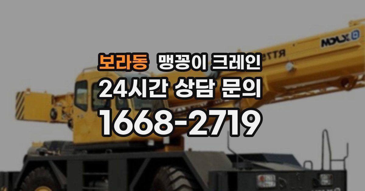 보라동 맹꽁이 크레인
