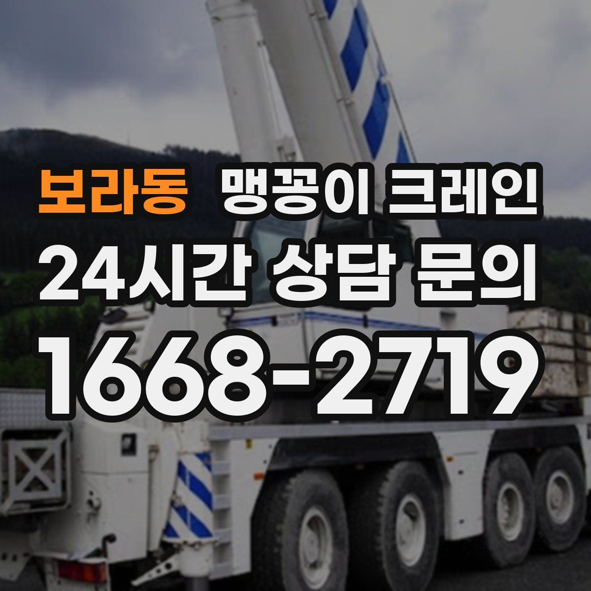 보라동 맹꽁이 크레인