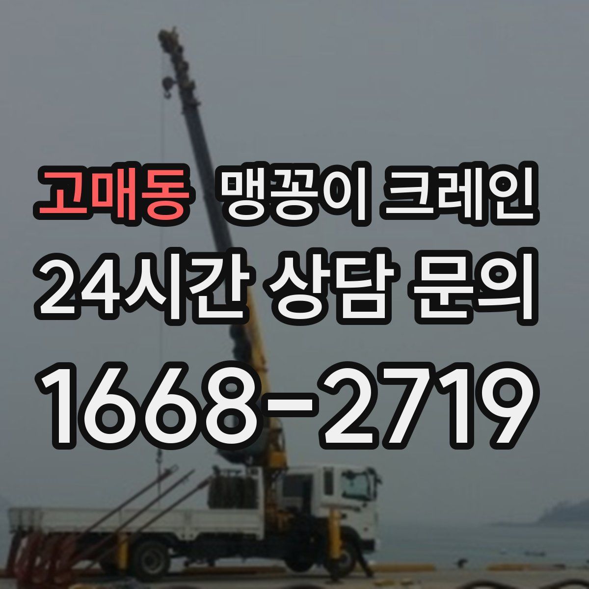 고매동 맹꽁이 크레인