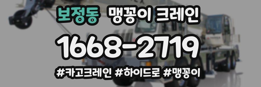 보정동 맹꽁이 크레인