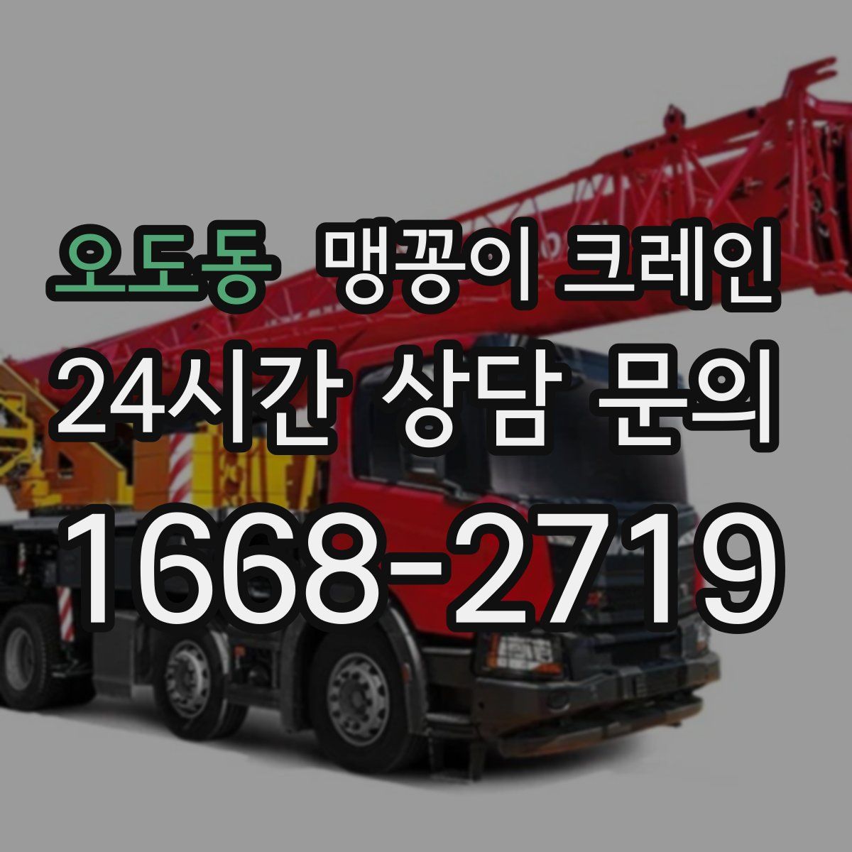 오도동 맹꽁이 크레인