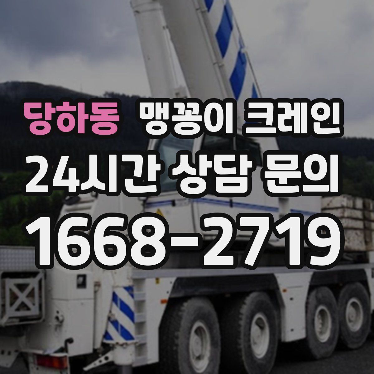 당하동 맹꽁이 크레인