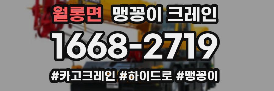 월롱면 맹꽁이 크레인