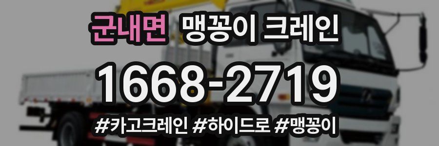 군내면 맹꽁이 크레인