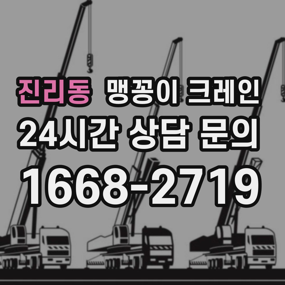 진리동 맹꽁이 크레인