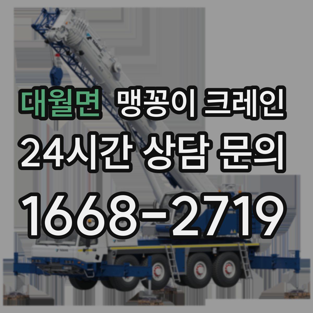 대월면 맹꽁이 크레인