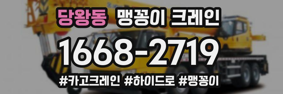 당왕동 맹꽁이 크레인