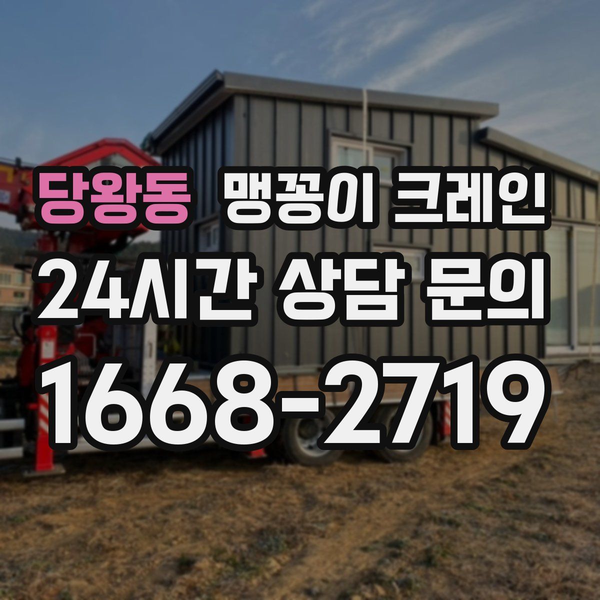 당왕동 맹꽁이 크레인