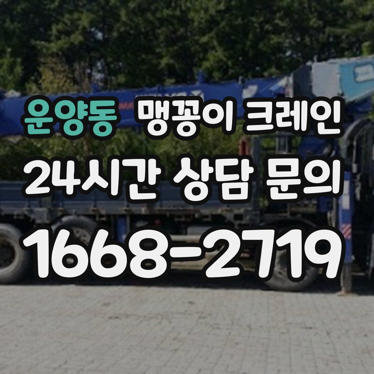 운양동 맹꽁이 크레인