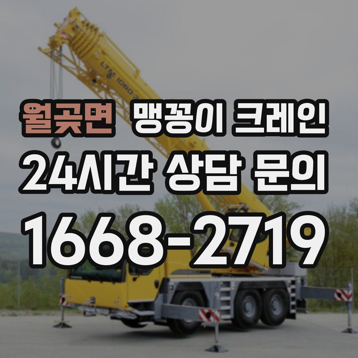 월곶면 맹꽁이 크레인