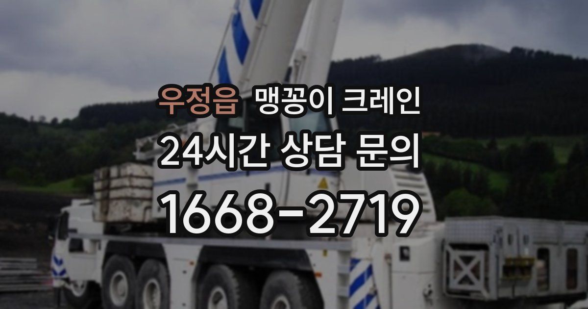 우정읍 맹꽁이 크레인