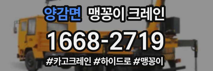 양감면 맹꽁이 크레인