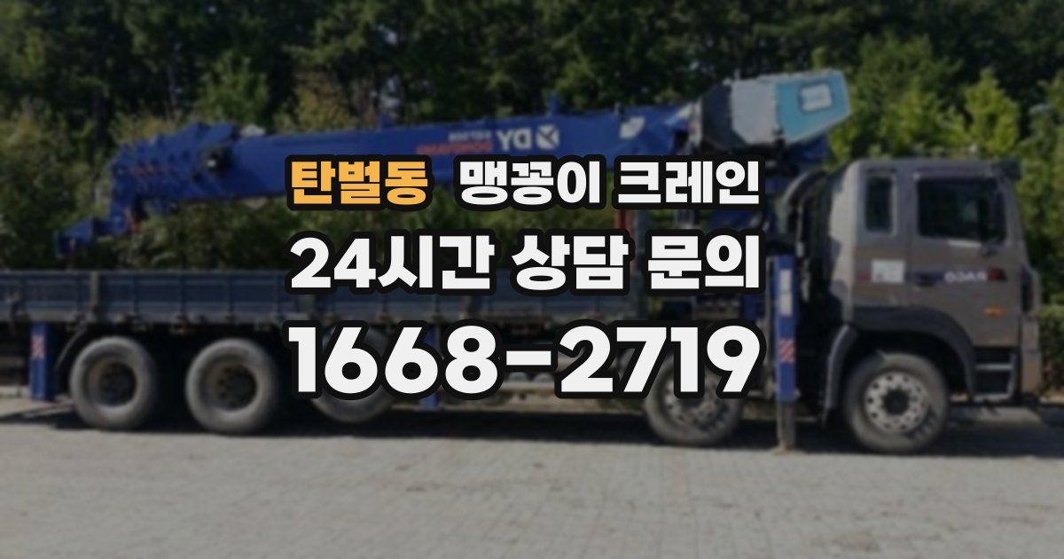 탄벌동 맹꽁이 크레인