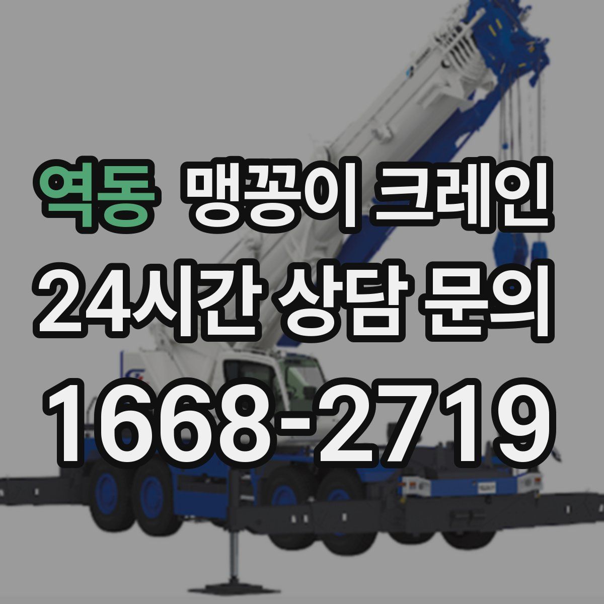 역동 맹꽁이 크레인