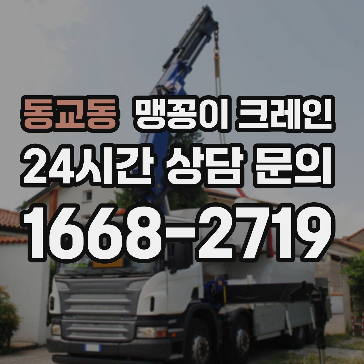 동교동 맹꽁이 크레인