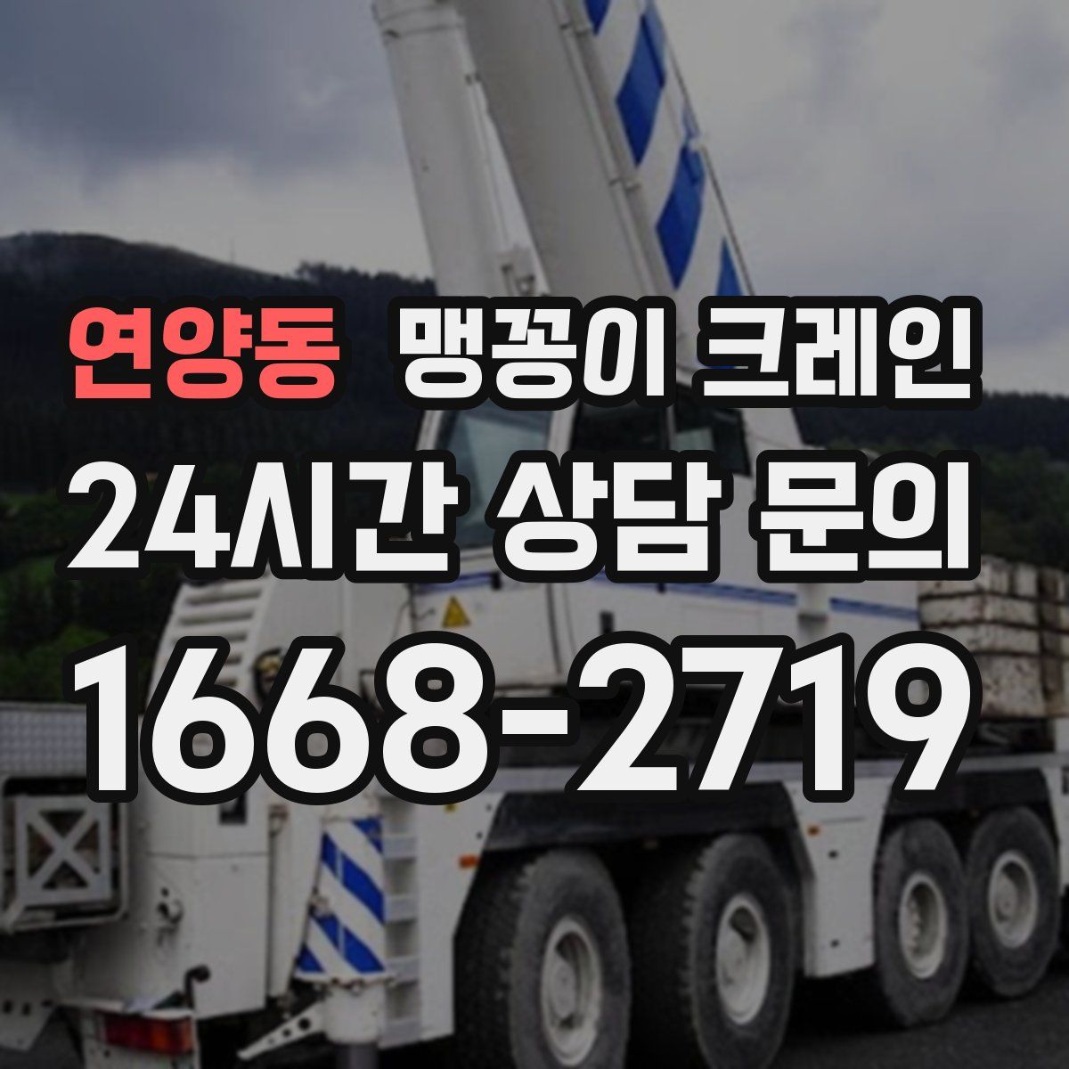 연양동 맹꽁이 크레인