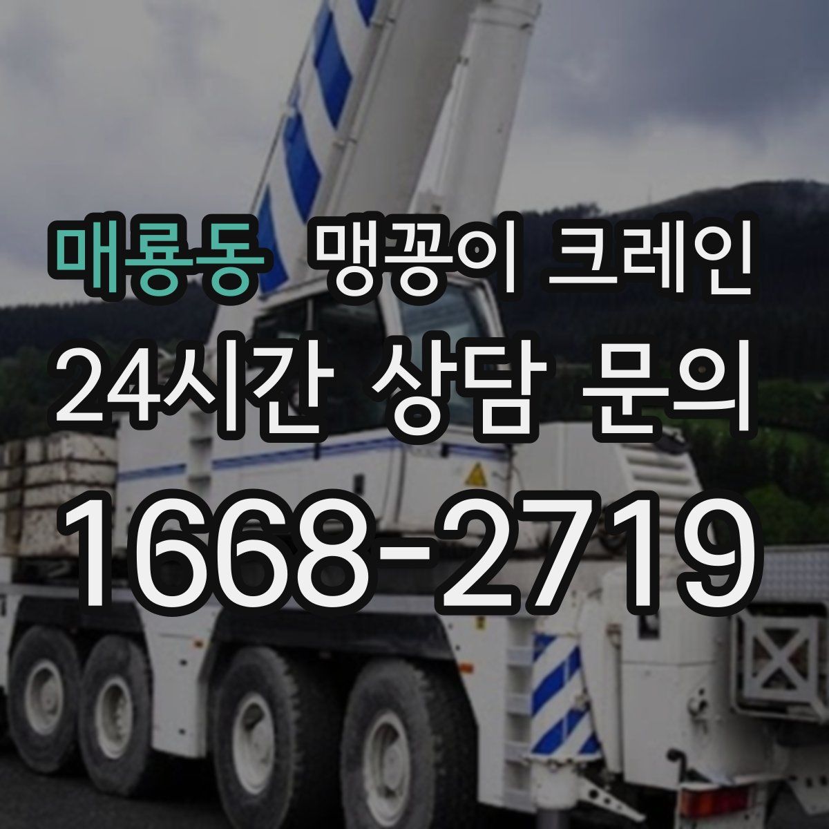 매룡동 맹꽁이 크레인